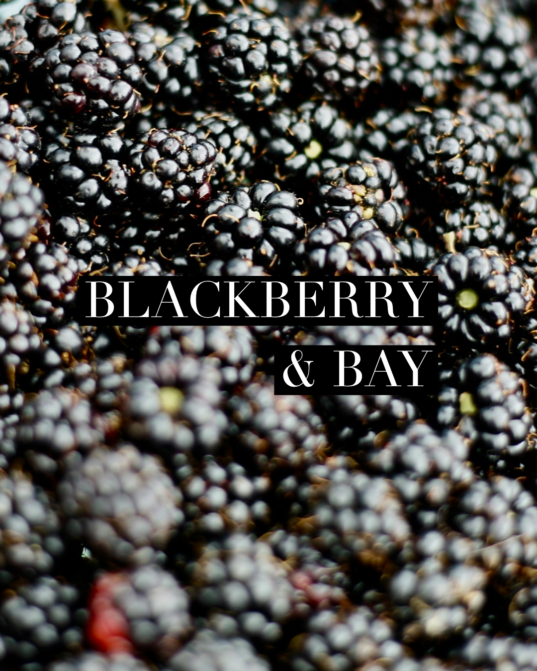 Blackberry & Bay