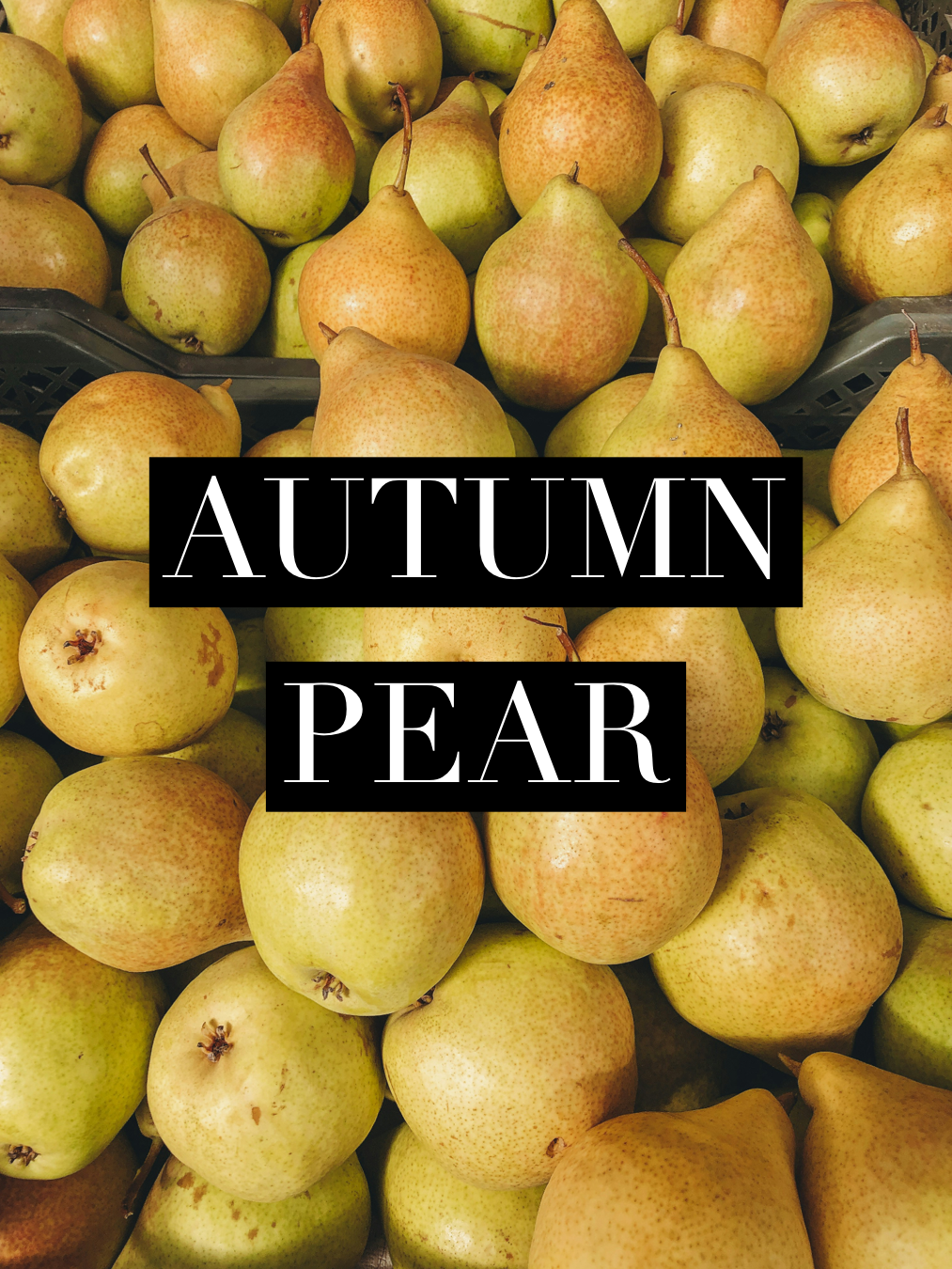 Autumn pear