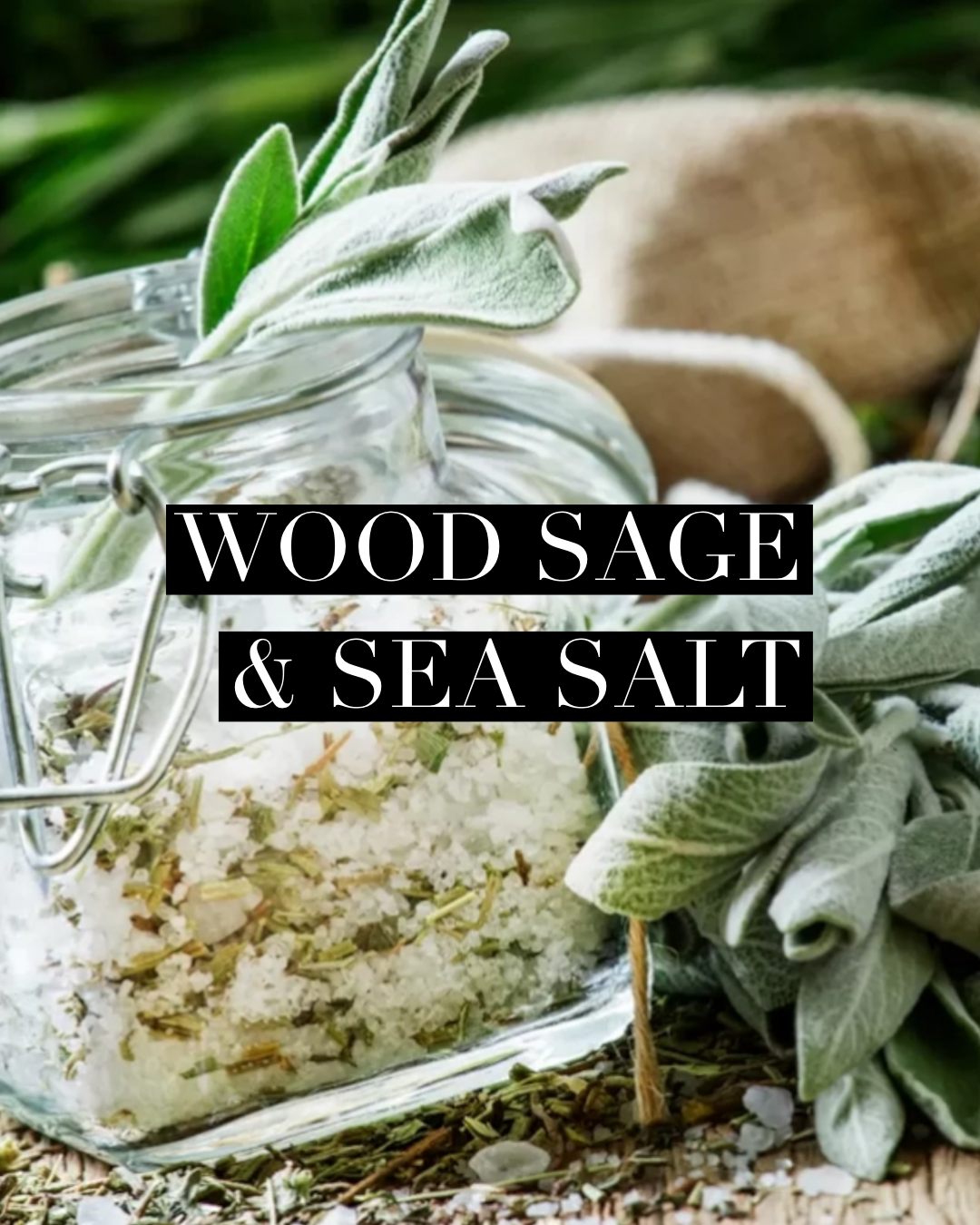 Wood Sage & Sea Salt