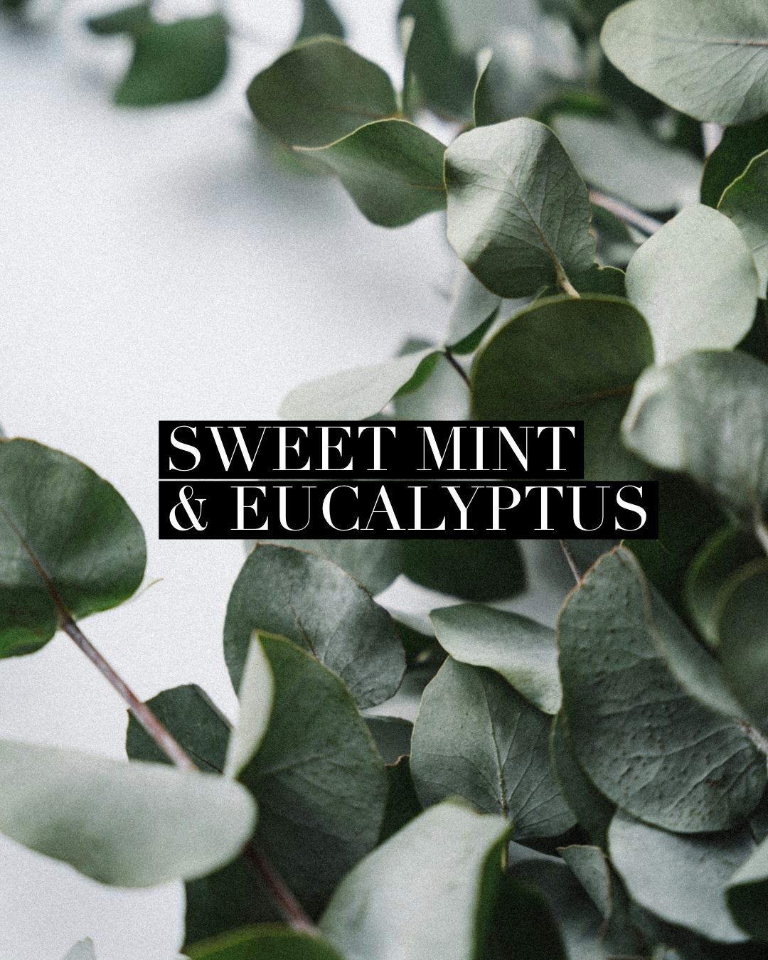 Sweet mint & Eucalyptus
