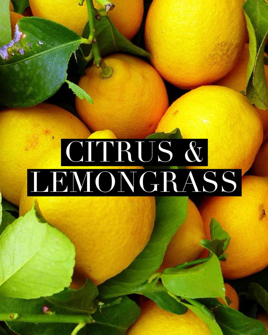 Citrus & Lemongrass