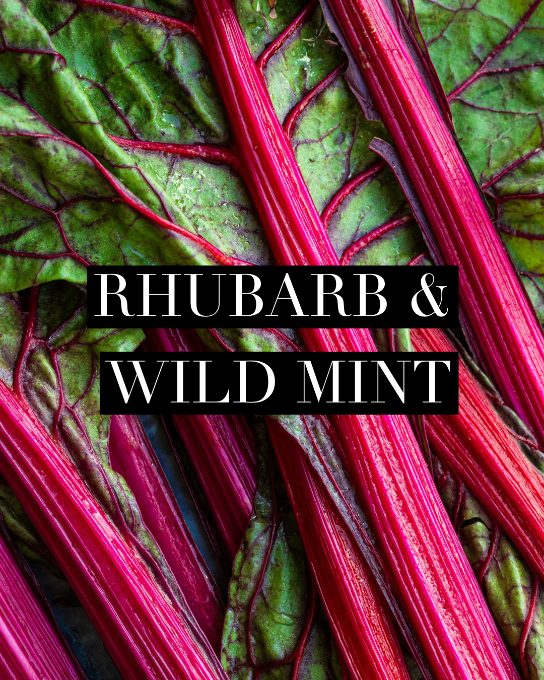 Rhubarb & Wild Mint