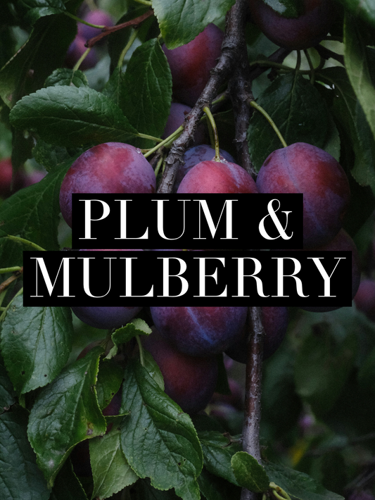 Plum & mulberry